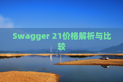Swagger 21价格解析与比较